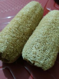 Natural Loufah/loofah Body Scrubber of Dried Ridge Gourd, (Pack of 2)
