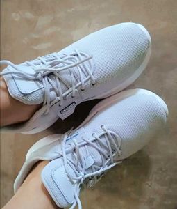 Shoe