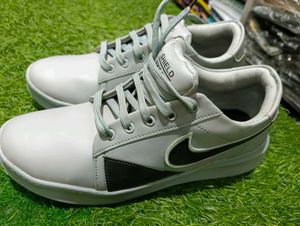 Stylish Sneakers
