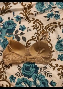 Nude Lace Trim Bra