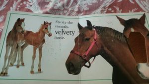 Board Book For Kids