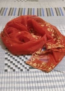 lehanga with dupatta (no blouse)