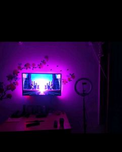 115 LEDs 118 inch Multicolor Color Changing Strip