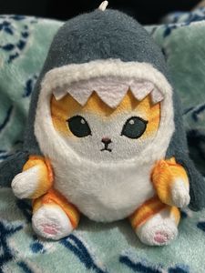 Shark Cat Plushie