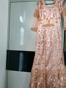 Elegant Party Wear Dress