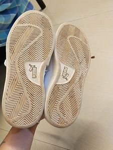 Puma Shoe