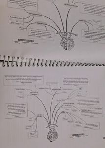 Oswall Class 12th Sample Paper