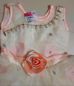 Beige And White Colour Net Frock