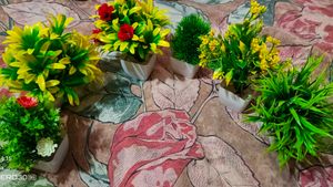 Artificial Plants Combo Of 10
