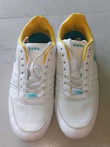 Shoe