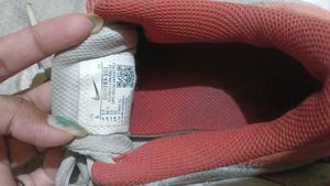 Nike Flex Sports Shoe .