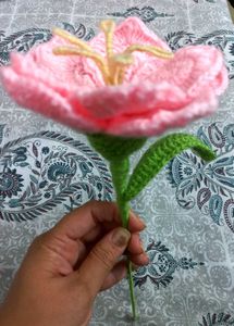 🩷🌷Beautiful Pink Platycodon Crochet Flower 🌺✨