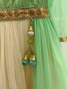 Elegant Ethnic Gown