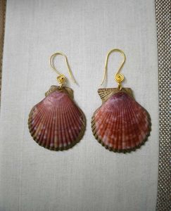 Beautiful Pink Shell Earrings For Women