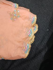 Beautiful Peach Duptta With Multicolour Embroidery