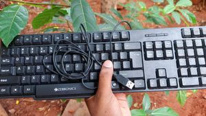 New Zebronics Zeb K20 Wired Keyboard Black