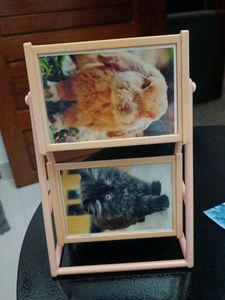 Frame Of 6 Photos