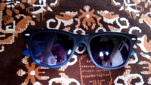 Wayfarer Style Sunglasses