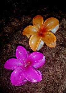 Flower Hair Clips - Set of 2