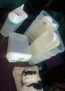 Food Storage Containers