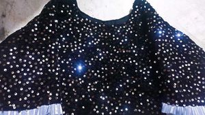 Elegant Sequin Saree