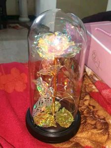 Artificial Colourful Preserved Rose In Glass Dome