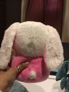 Bunny Plushie Set
