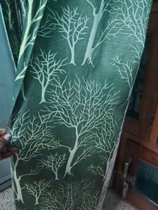 Curtain