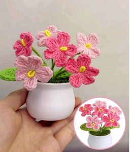 Crochet Pot