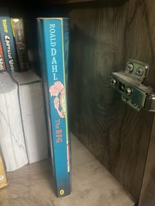The BFG by Roald Dahl