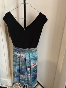 Flared Skate Dress
