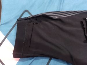 Track Pant