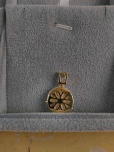 Branded Premium Earrings