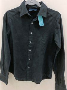 Apple SHIRT Sea Green Color