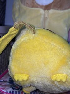 Pokemon Pikachu Cute Plush Soft Toy