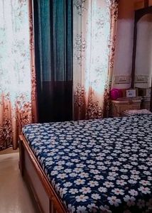Door Curtains (total 3)