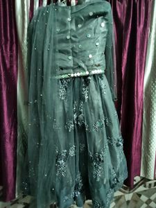 Party Wear Lehnga With Choli Nd Dupatta