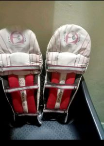 SG Batting Pads& Cricket Helmet