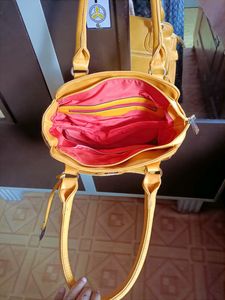 Diana korr Sholder bag