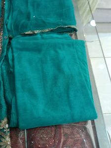 Elegant Salwar Suit (Hidden Minor Issue)