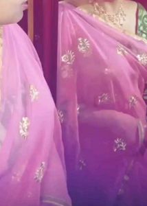 Pink Zari Embroidered Soft Georgette Saree