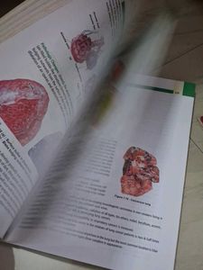 Pathology Textbook