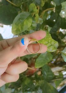 Gold Polished Ring