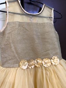Golden Girls Dress