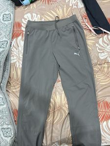 Puma Gray Track Pants For Men