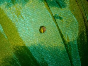 Green &amp; Gold Handmade Dress