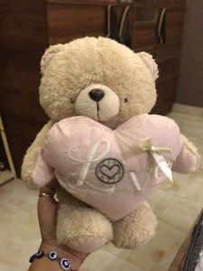 Cute Teddy Bear with Love Heart