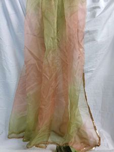 Pakistani Dress