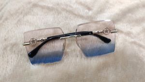 Dual Tone Sunglasses