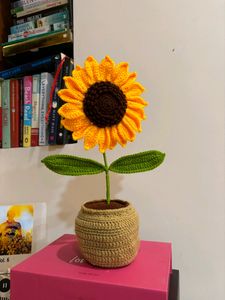 Sunflower pot